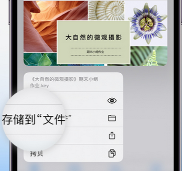 西乡apple维修中心分享iPhone文件应用中存储和找到下载文件