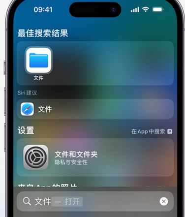 西乡apple维修中心分享iPhone文件应用中存储和找到下载文件 