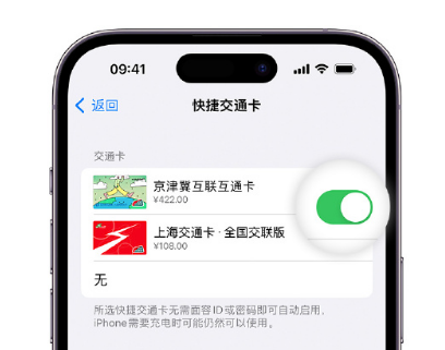 西乡apple维修点分享iPhone上更换Apple Pay快捷交通卡手绘卡面 