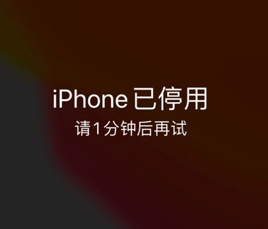 西乡苹果手机维修分享:iPhone 显示“不可用”或“已停用”怎么办？还能保留数据吗？ 