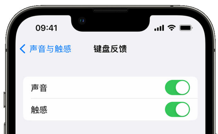 西乡苹果手机维修分享iPhone 14触感键盘使用方法 