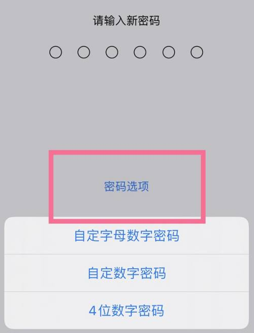 西乡苹果14维修分享iPhone 14plus设置密码的方法 