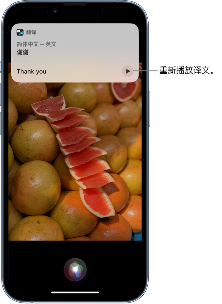 西乡苹果14维修分享 iPhone 14 机型中使用 Siri：了解 Siri 能帮你做什么 