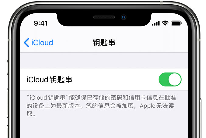 西乡苹果手机维修分享在 iPhone 上开启 iCloud 钥匙串之后会储存哪些信息 