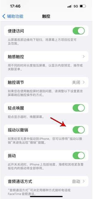 西乡苹果手机维修分享iPhone手机如何设置摇一摇删除文字 