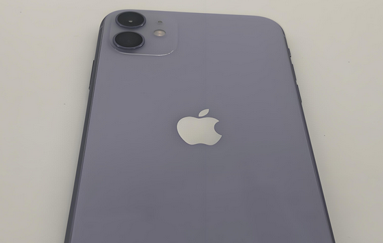 西乡苹果11系统维修分享iPhone11手机系统崩溃无法开机如何解决 